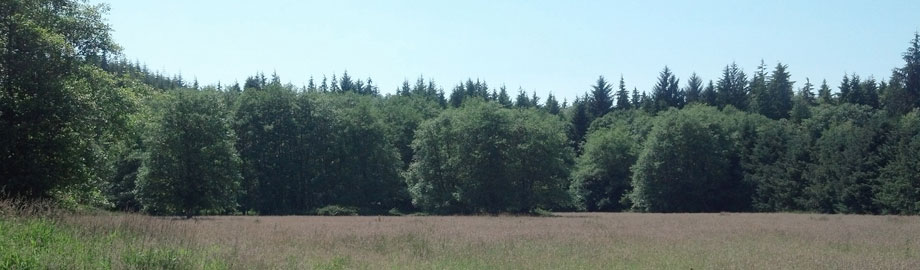 Environmental Landscape